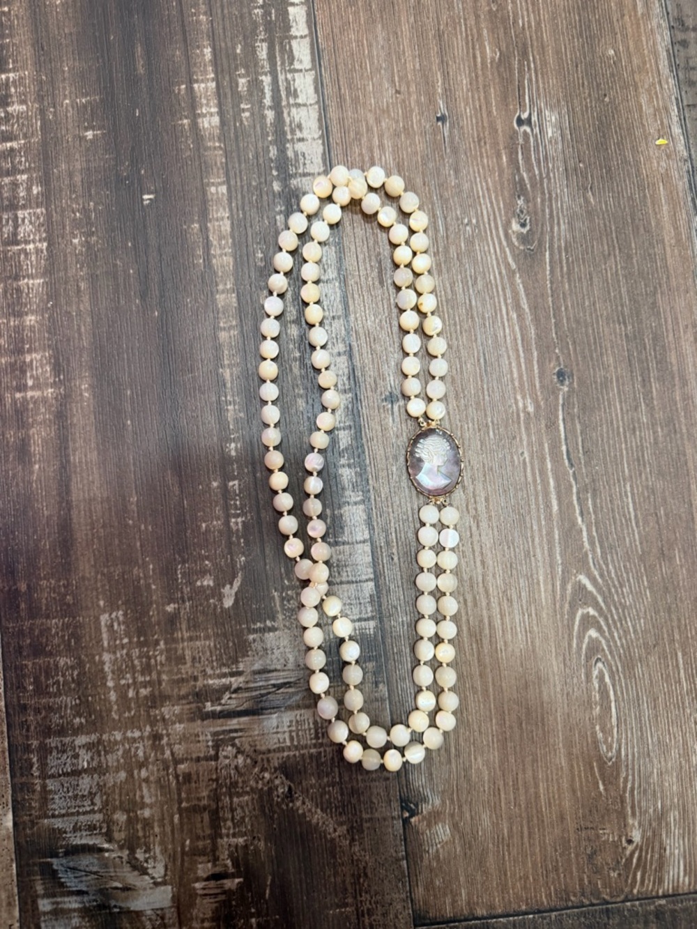 Elegant Mother Of Pearl Vtg Necklace W/Cameo Brooch